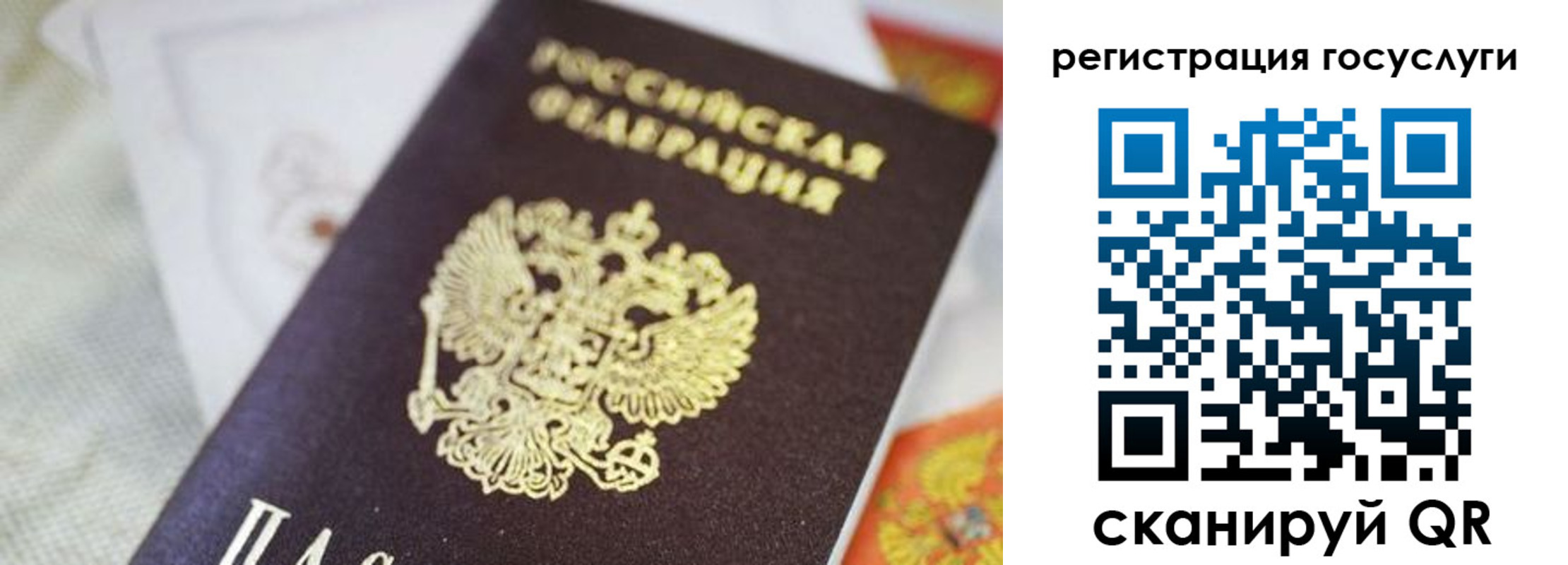 прописка иностранных граждан в Апатитах