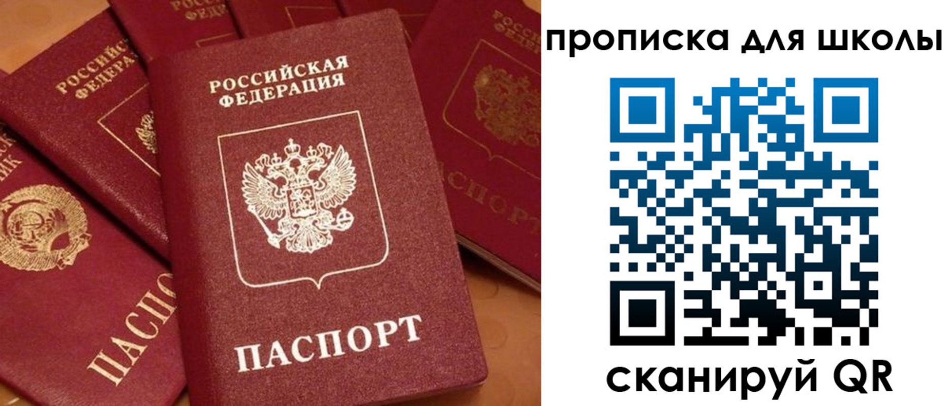 временная регистрация поиск в Апатитах